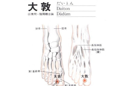詳解腳底穴位圖 腳底穴位都有哪些 腳底有什么穴位