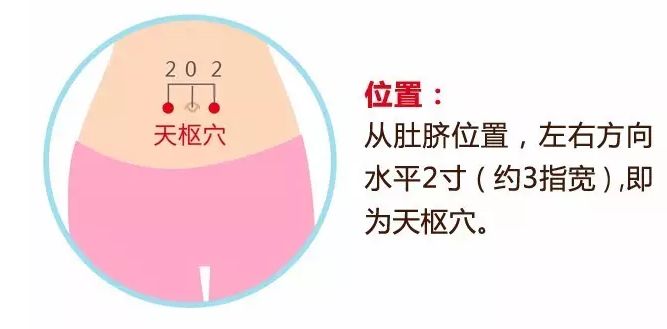 天樞穴.jpg